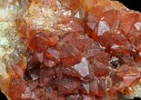 Natural, Red Quartz Cluster - Morocco #57093-1